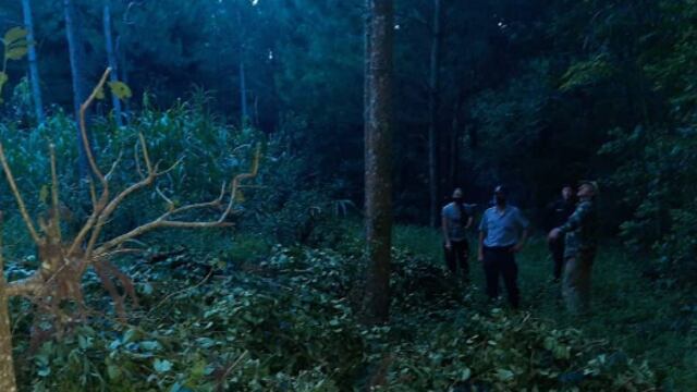 Intento de robo de yerba mate