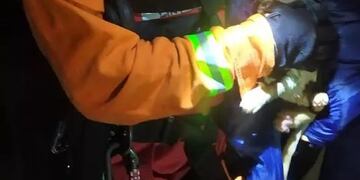Rescataron a un gato que había caído a un pozo de 15 metros de profundidad en Iguazú.
