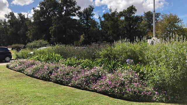 Convocatoria al curso de paisajismo con especies nativas