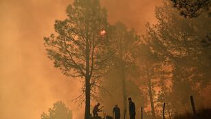 Cordoba el 18 de August de 2021 incendios forestales en potrero de garay Foto: Pedro Castillo