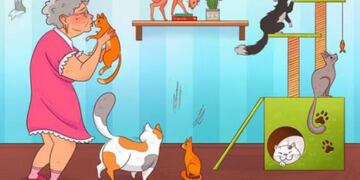 El acertijo visual que causa furor en Estados Unidos.