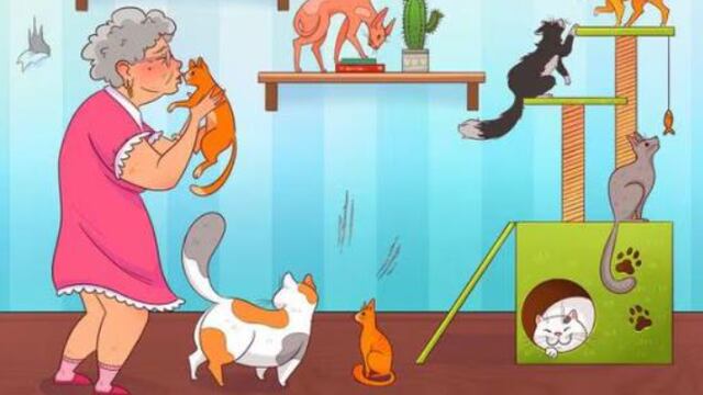 El acertijo visual que causa furor en Estados Unidos.