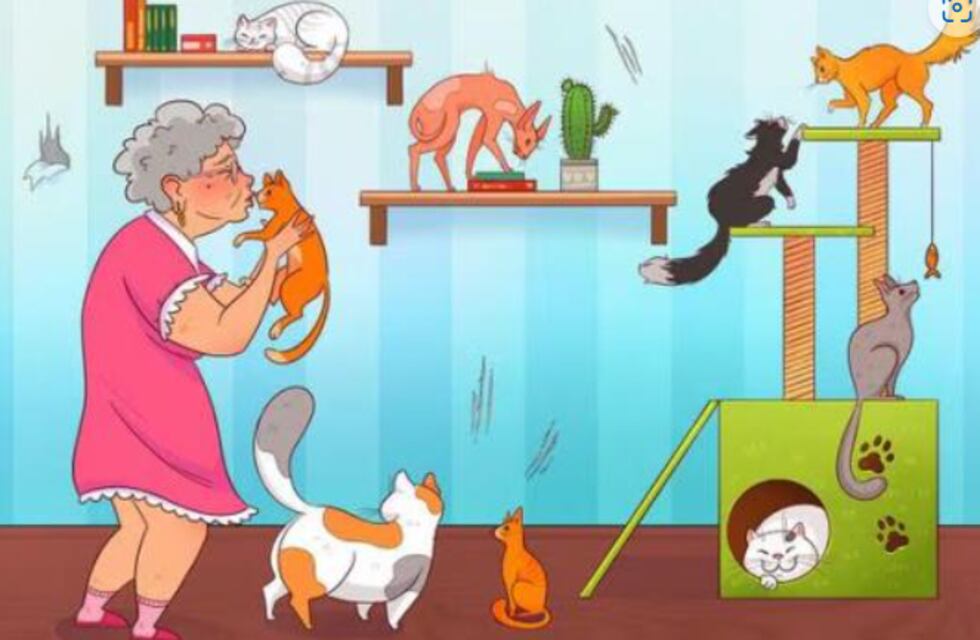 El acertijo visual de los gatos que causa furor en Estados Unidos y solo el 10% de los usuarios lo resuelven