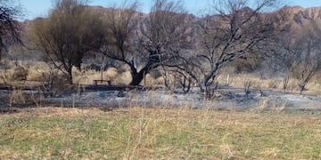 Los incendios forestales en Huaco, al norte de la provincia de San Juan preocuparon a las autoridades.