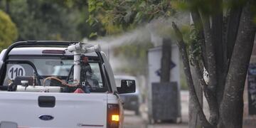 Se dio a conocer el cronograma de fumigación