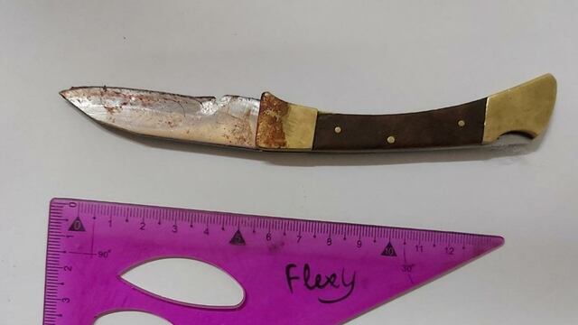 Golpeó a su pareja y fue aprehendido