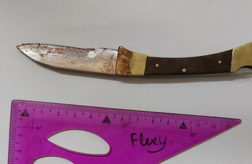 Golpeó a su pareja y se cortó con una navaja