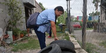 El ministro Bouhid exhortó a la comunidad a "tomar conciencia y responsabilidad" con el objetivo de "eliminar los espacios posibles de incubación del mosquito".