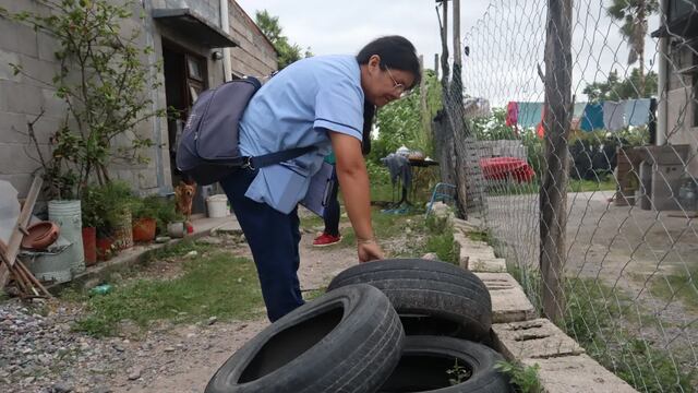 El ministro Bouhid exhortó a la comunidad a "tomar conciencia y responsabilidad" con el objetivo de "eliminar los espacios posibles de incubación del mosquito".