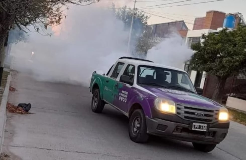 Dieron de alta a los últimos contagiados de dengue en San Luis