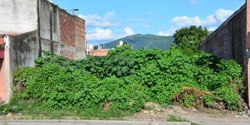 El municipio de Pueblo Belgrano intimará a vecinos para desmalezar terrenos baldíos. Foto: web