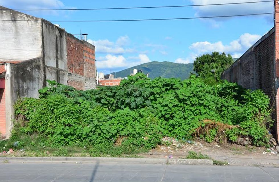 Reclamos por terrenos en estado de abandono