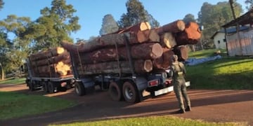 Incautan cargamento de madera nativa en San Pedro.