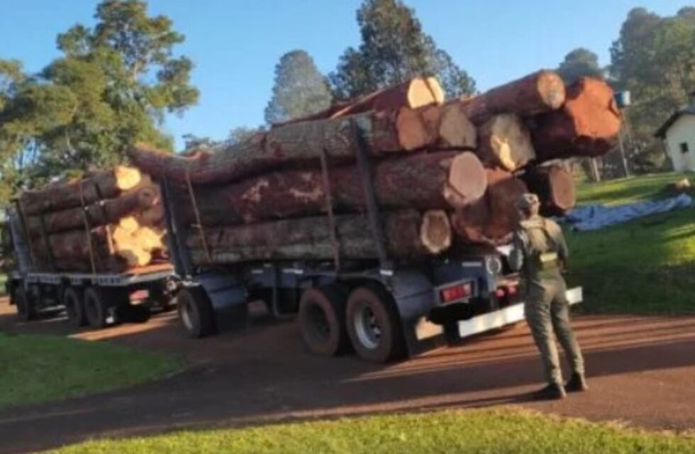 Incautan cargamento de madera nativa en San Pedro