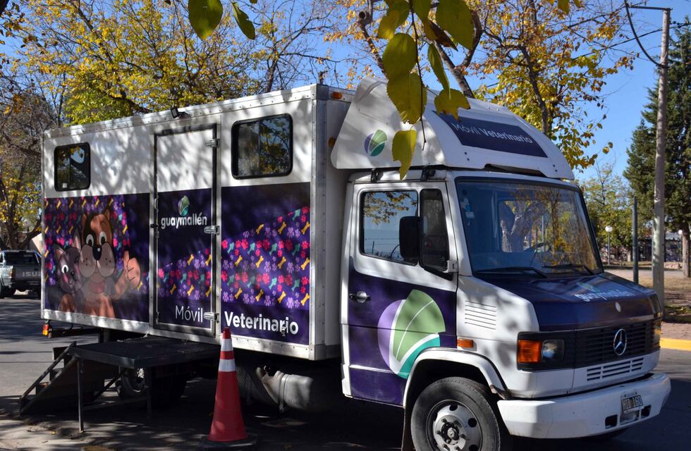 Cómo sacar el turno para castrar mi mascota en Guaymallén