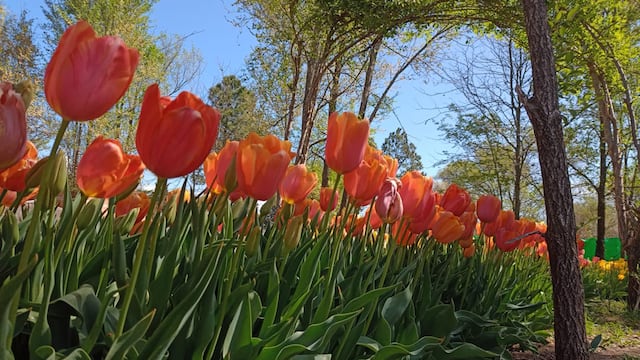 (Imagen a modo ilustrativo / La Voz)