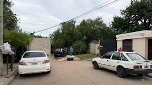 Habló la dueña del perro. (Foto: El Doce)