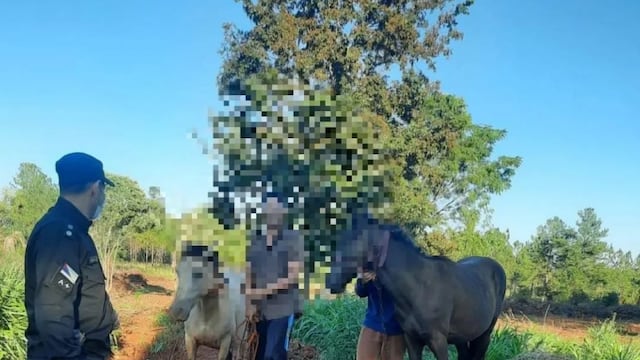 Recuperaron dos equinos en Concepción de la Sierra.