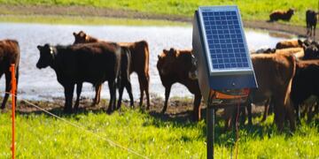 Interior:  entregarán 406 boyeros solares a pequeños productores