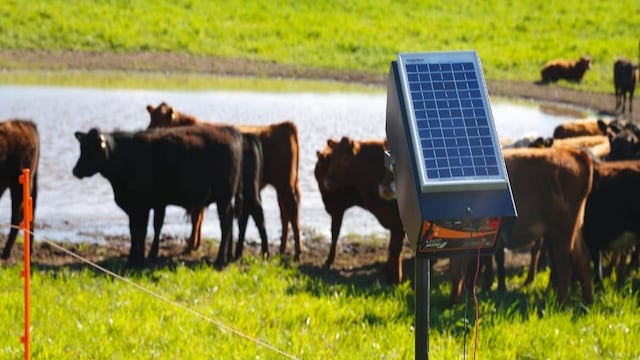 Interior: entregarán 406 boyeros solares a pequeños productores