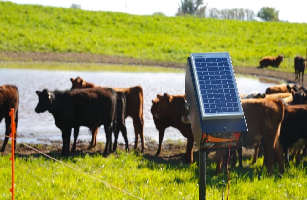 Interior: entregarán 406 boyeros solares a pequeños productores