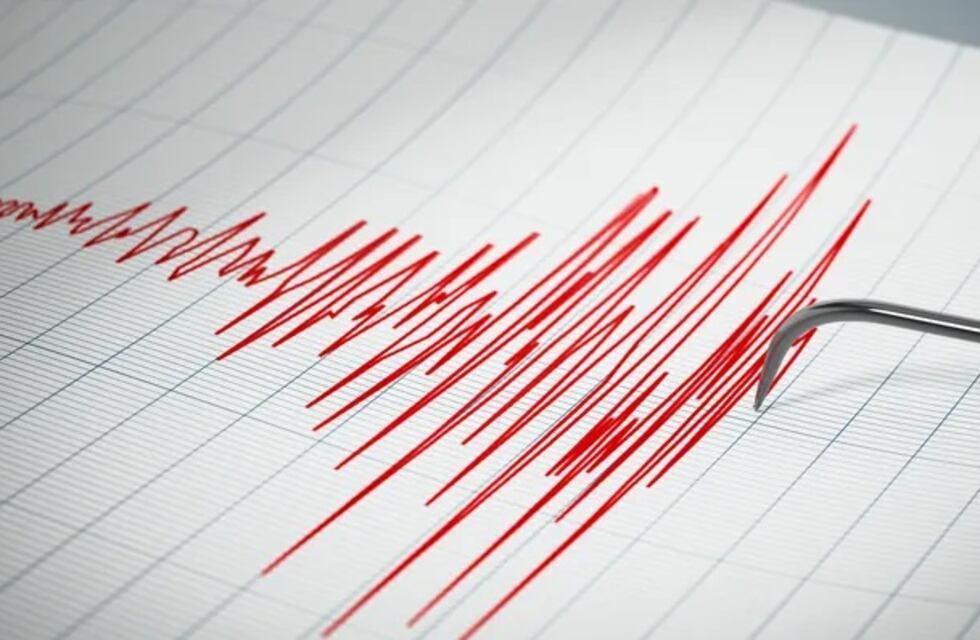 Un fuerte sismo asustó a los sanjuaninos: el epicentro fue en Valle Fértil