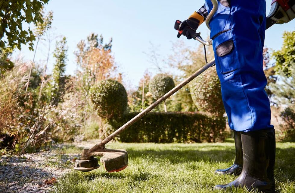 Córdoba: cortaba el pasto con tijeras, su historia se viralizó y vecinos se organizaron para sorprenderlo
