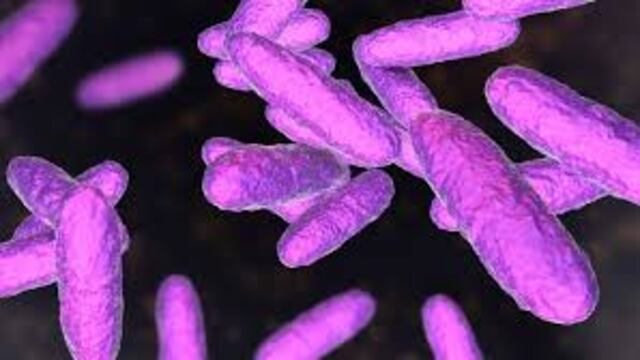 Un informe detalla que son cada vez más frecuentes los casos de bacterias "comecarne" que se transmiten vía sexual.