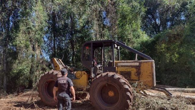 Secuestran varias máquinas y rollos de maderas en un Apeo Ilegal en Puerto Mado