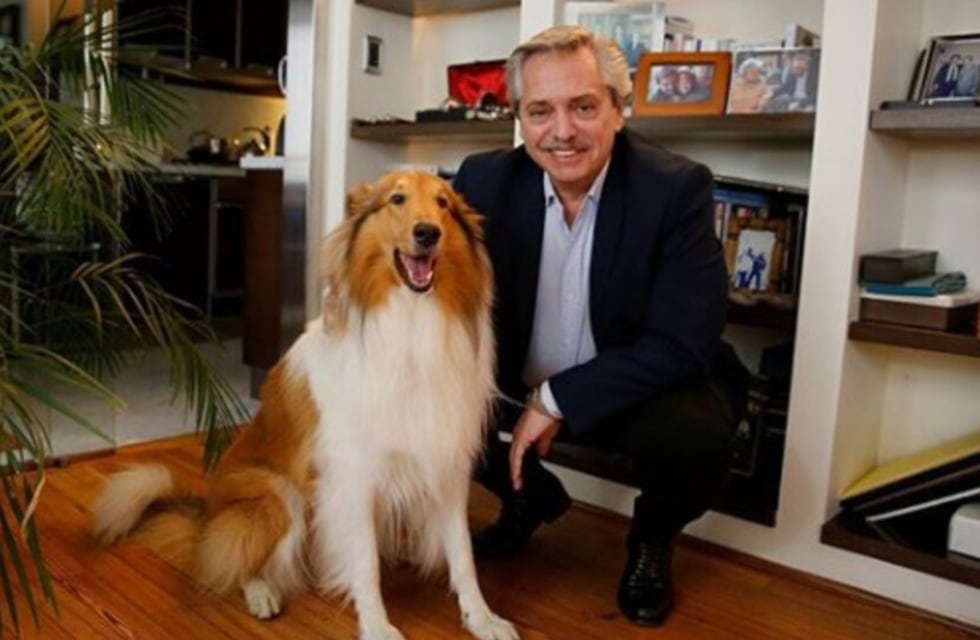 Murió Dylan, el perro de Alberto Fernández: “Con mucho dolor, te despido”