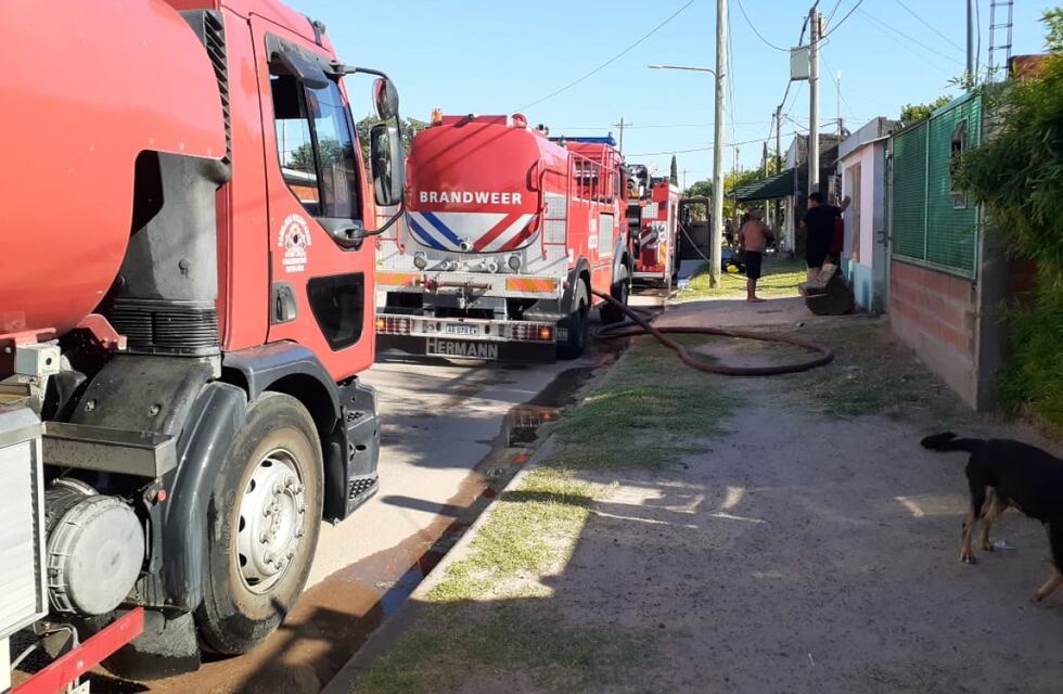 Intentaba ahuyentar avispas y terminó incendiando su propia vivienda