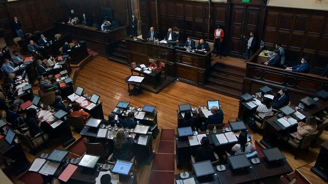 Los sureños deberán votar para elegir 5 diputados y 4 senadores provinciales en las próximas elecciones.