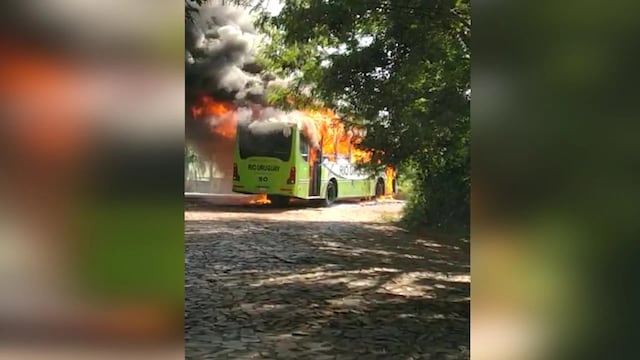 Puerto Iguazú: se incendió un colectivo urbano en pleno recorrido.