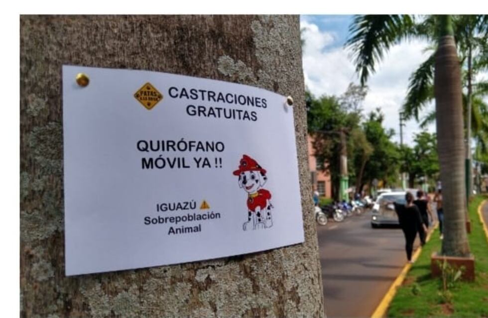 Puerto Iguazú: Asociación Civil Patas a la Obra se manifestó frente al ITUREM