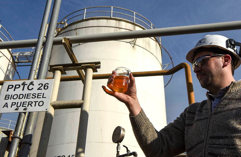 Biocombustibles: se promulgó la nueva ley que impulsó Máximo Kirchner