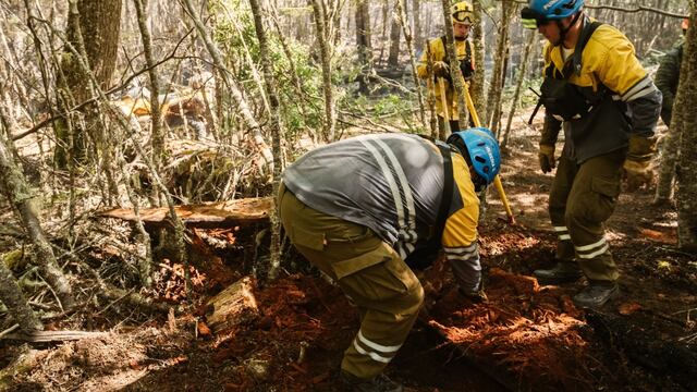 Arde Tierra del Fuego: el incendio continúa activo en la Reserva Provincial