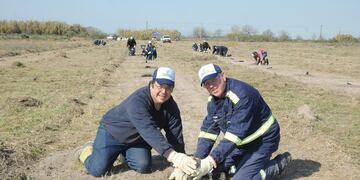 Gerdau afianza su compromiso sustentable y firma un acuerdo de forestación con Nativas.