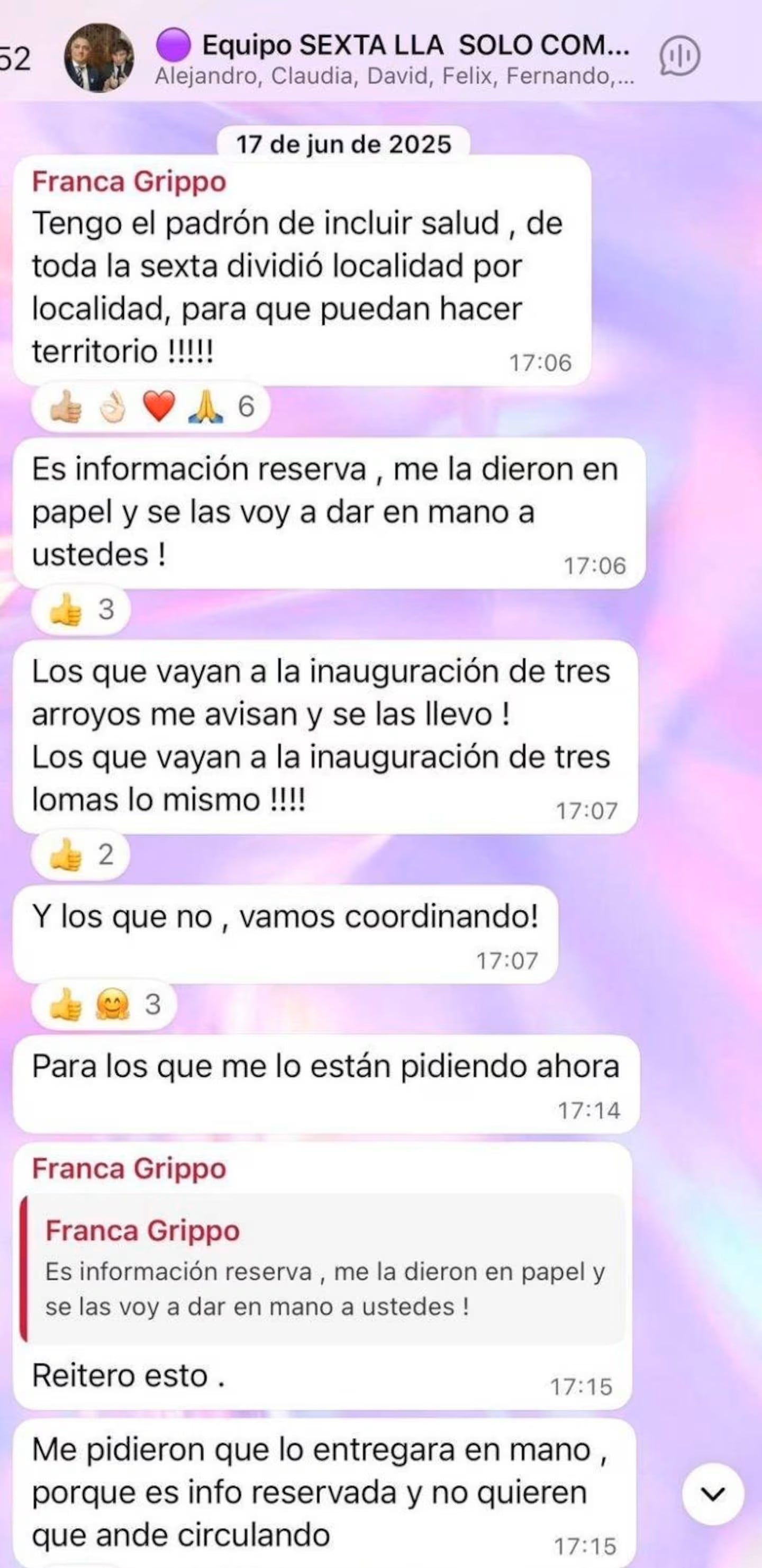 El chat que involucra a la concejal bahiense Franca Grippo.