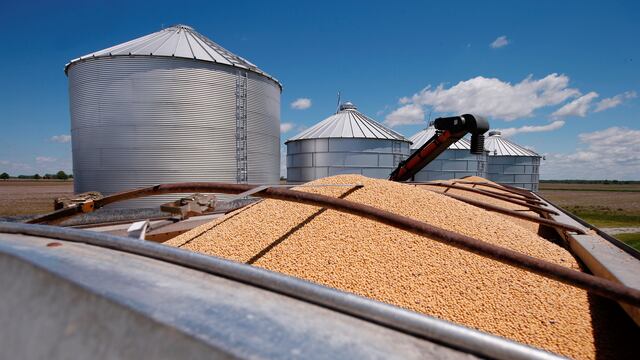 El escenario mundial de la soja en ebullición