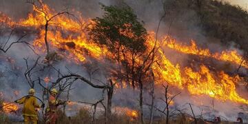 Los incendios en Salta continúan propagándose y la ruta 50 es la más afectada.