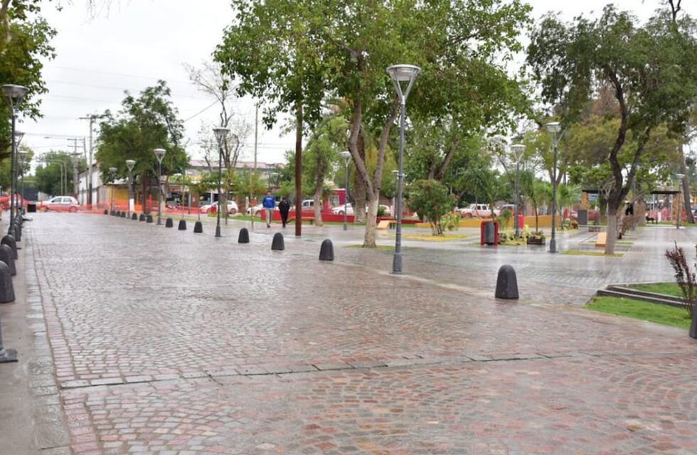Insólito: arreglaba una plaza en San Juan y delincuentes le robaron las herramientas de trabajo