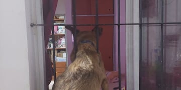 La can quedó encajada en una vivienda de barrio San Martín.