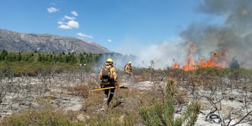 Se reactivó el incendio forestal cerca de El Bolsón (SPLIF Río Negro).