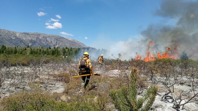 Se reactivó el incendio forestal cerca de El Bolsón (SPLIF Río Negro).