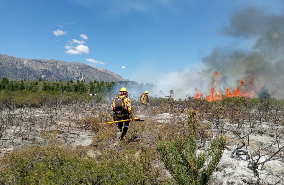 Las altas temperaturas reactivaron el incendio forestal en Río Negro