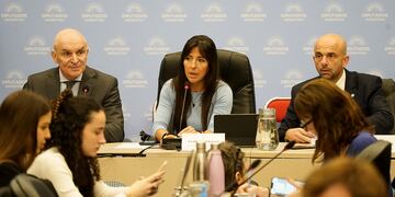 La privatización de Aerolíneas Argentinas vuelve a tratarse en comisiones (Gentileza Maxi Failla / Clarín)