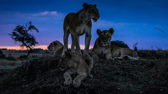 La tierra de noche