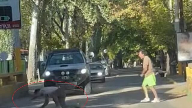 Pelea callejera en Chacras de Coria entre dos conductores que habían impactado sus vehículos, produjo un corte en el tránsito.