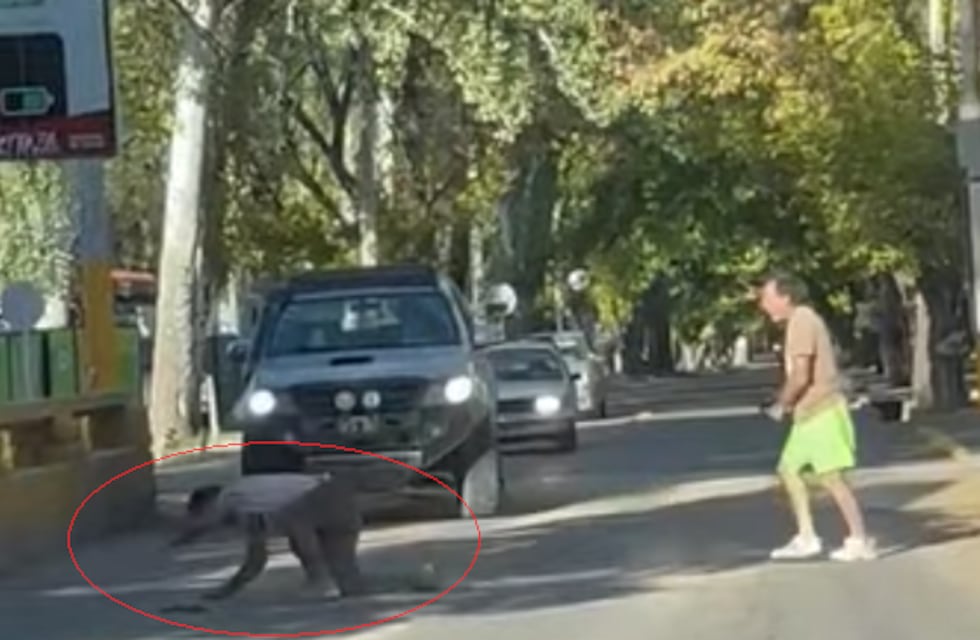 Video: impactantes imágenes de violencia y boxeo callejero luego de un accidente vial en Chacras de Coria