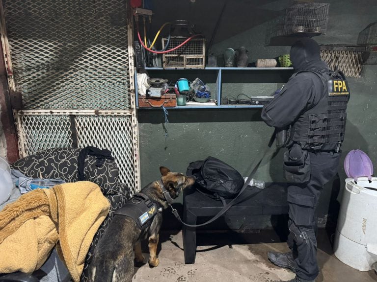 Allanamientos por drogas en Córdoba.